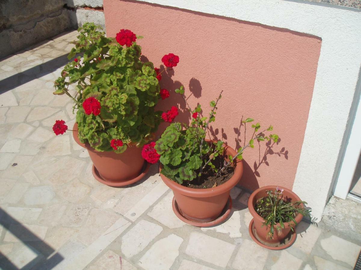 Apartments & Room Madi Senj  Exterior photo